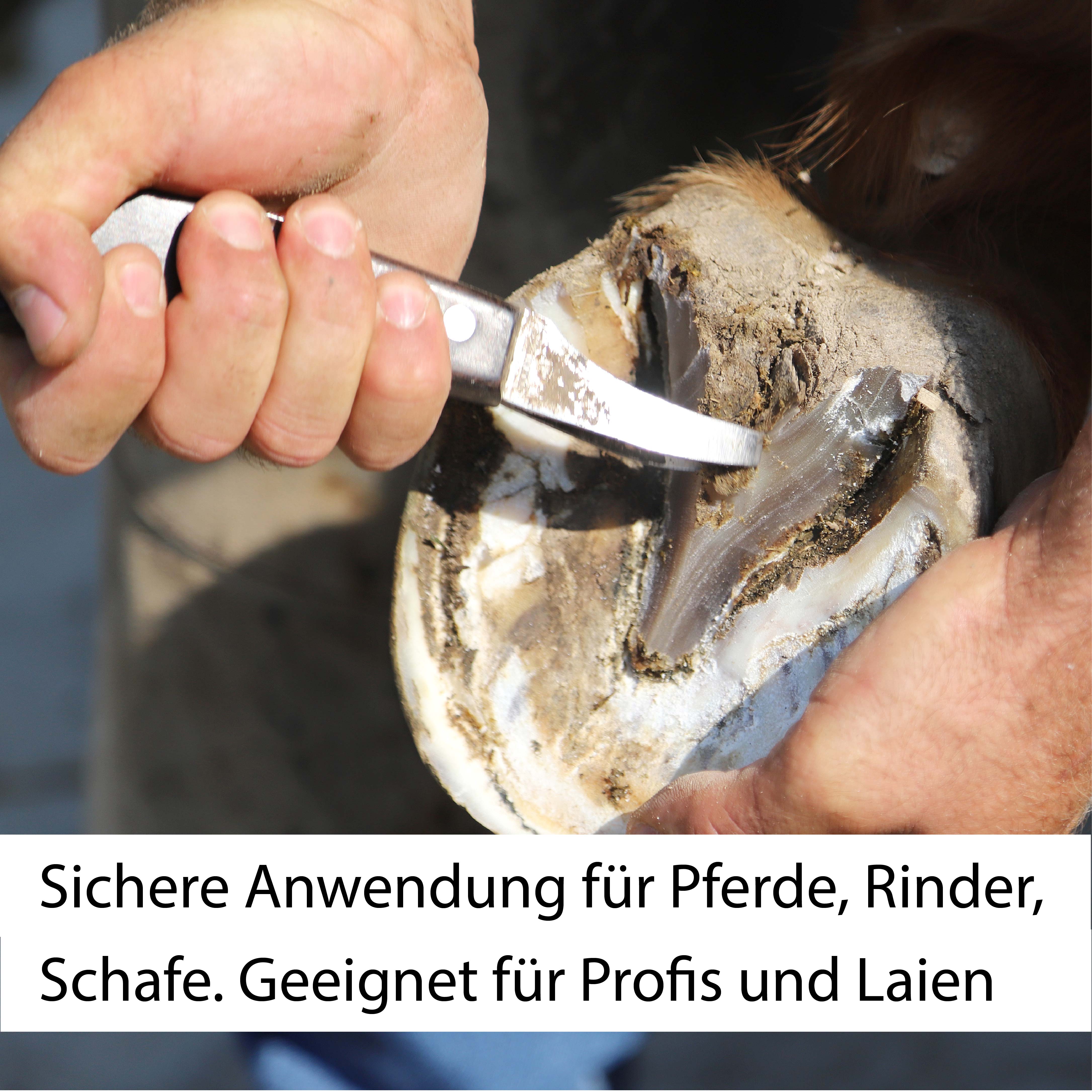 Hufmesser für Pferde, Rechts- und Linkshänder